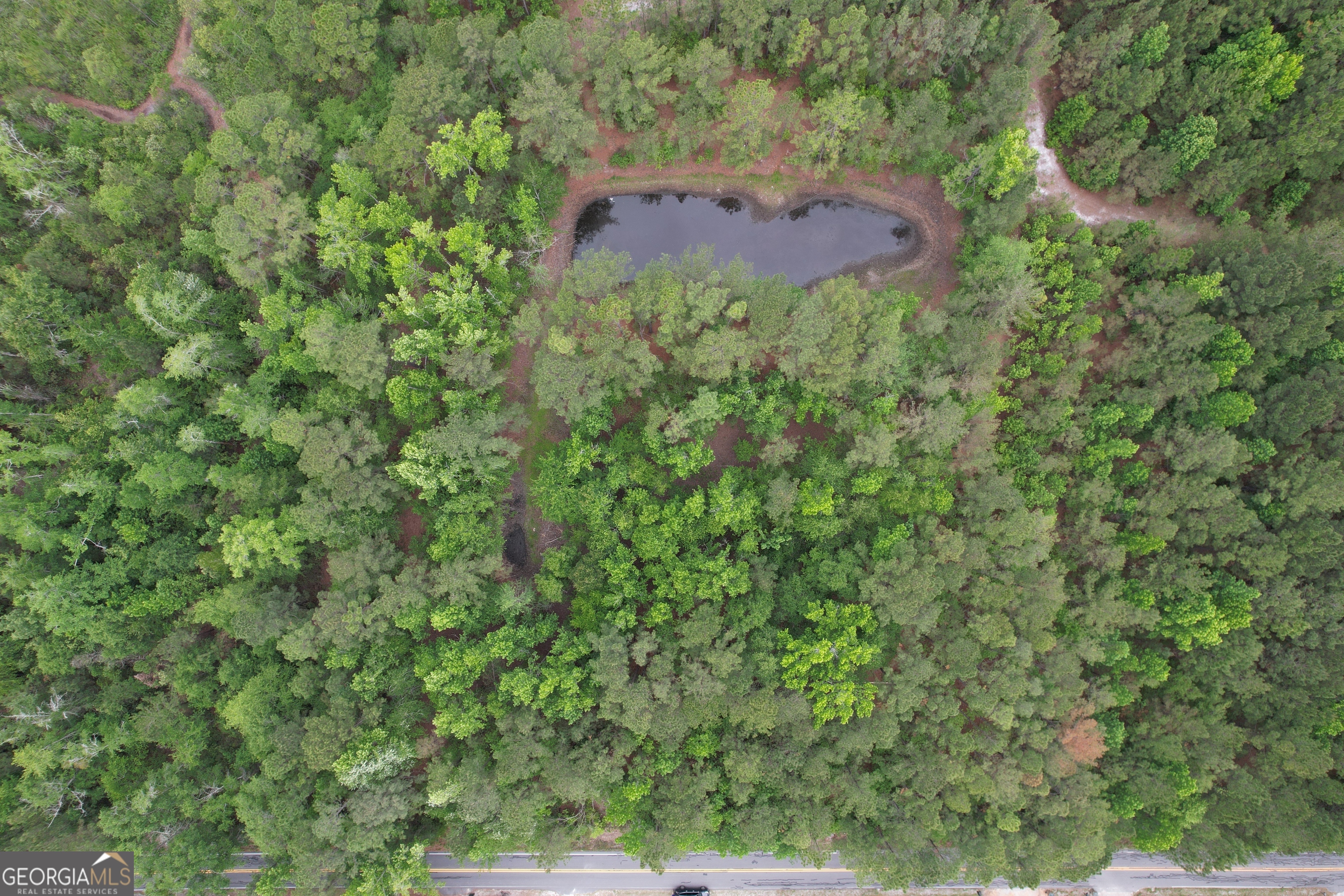 1.5-acres Mt Pleasant Road Clyo, GA 31303 - Photo 2 of 19