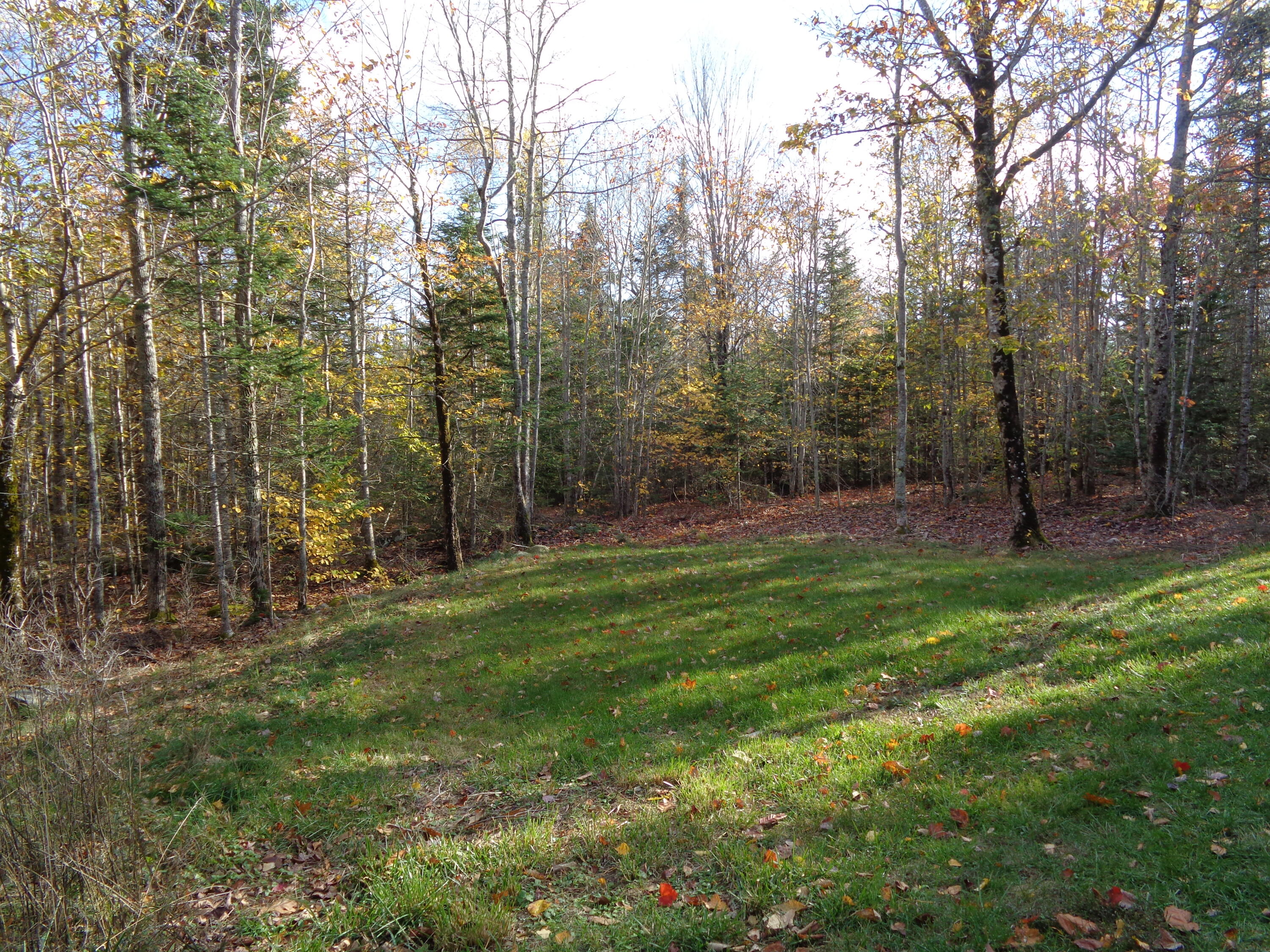 24 Tamarac Road Ellsworth, ME 04605 - Photo 35 of 36 Side Yard