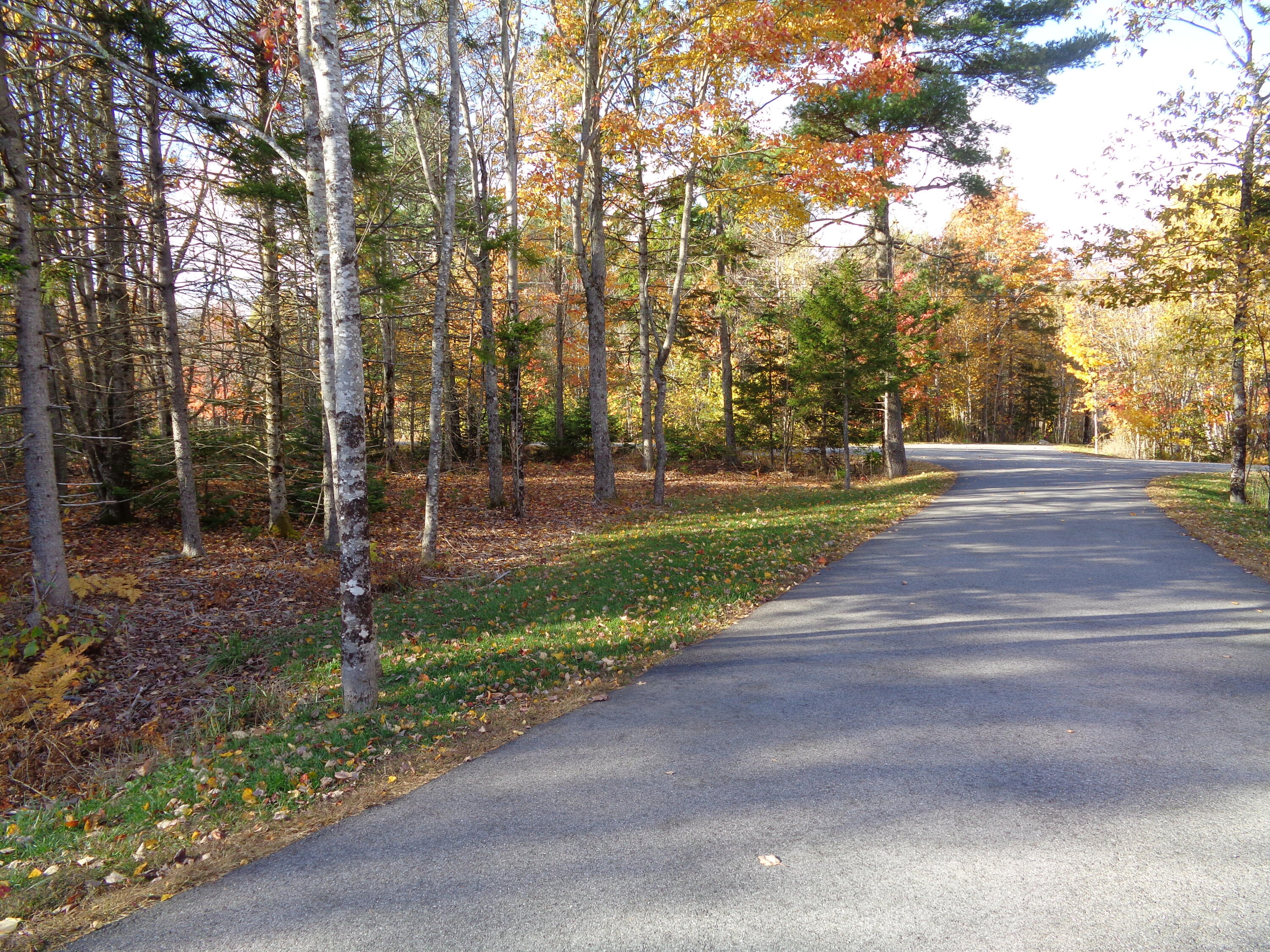 24 Tamarac Road Ellsworth, ME 04605 - Photo 36 of 36 Paved Driveway