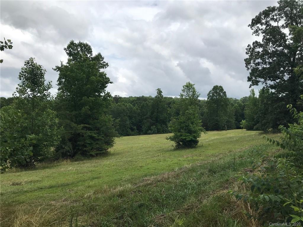 624 Bill Holbert Road Tryon, NC 28782 - Photo 2 of 9