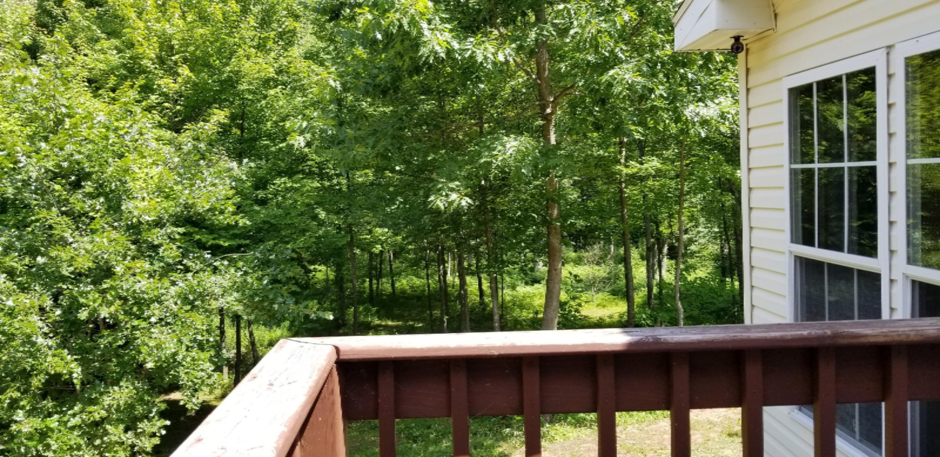 7866 East River Road Walkerville, MI 49459 - Photo 39 of 47 20180621_120353