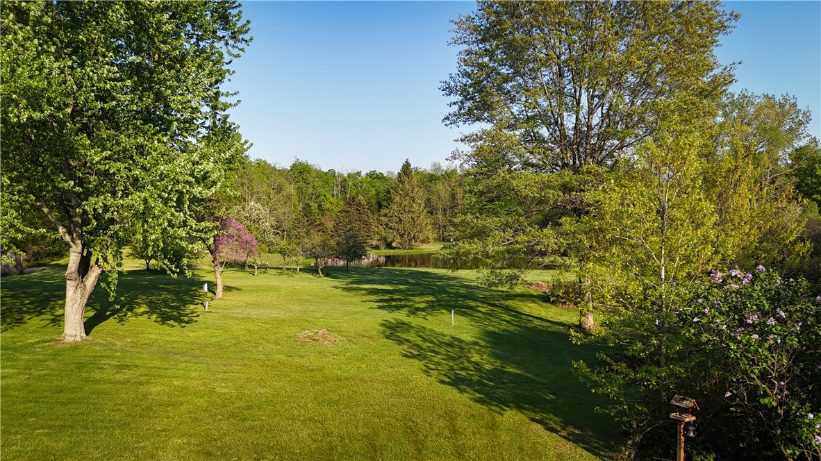 7488 Eades Road Red Creek, NY 13143 - Photo 43 of 50