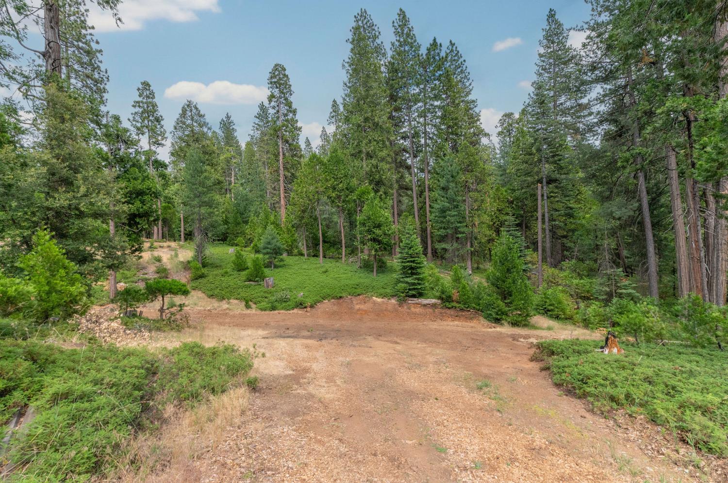 2895 Ponderosa Road Arnold, CA 95223 - Photo 47 of 52