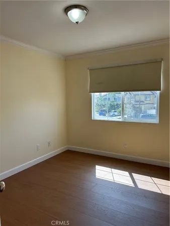 a view of a yard with plants