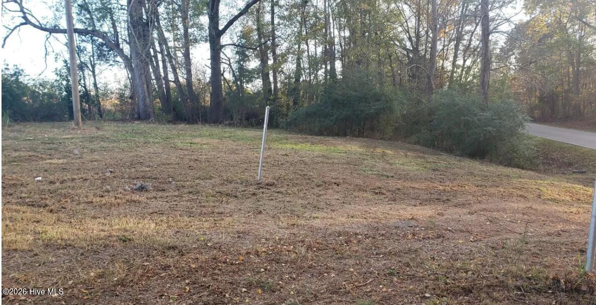 865 Borden Road Carthage, NC 28327 - Photo 1 of 1 865 Borden Rd
