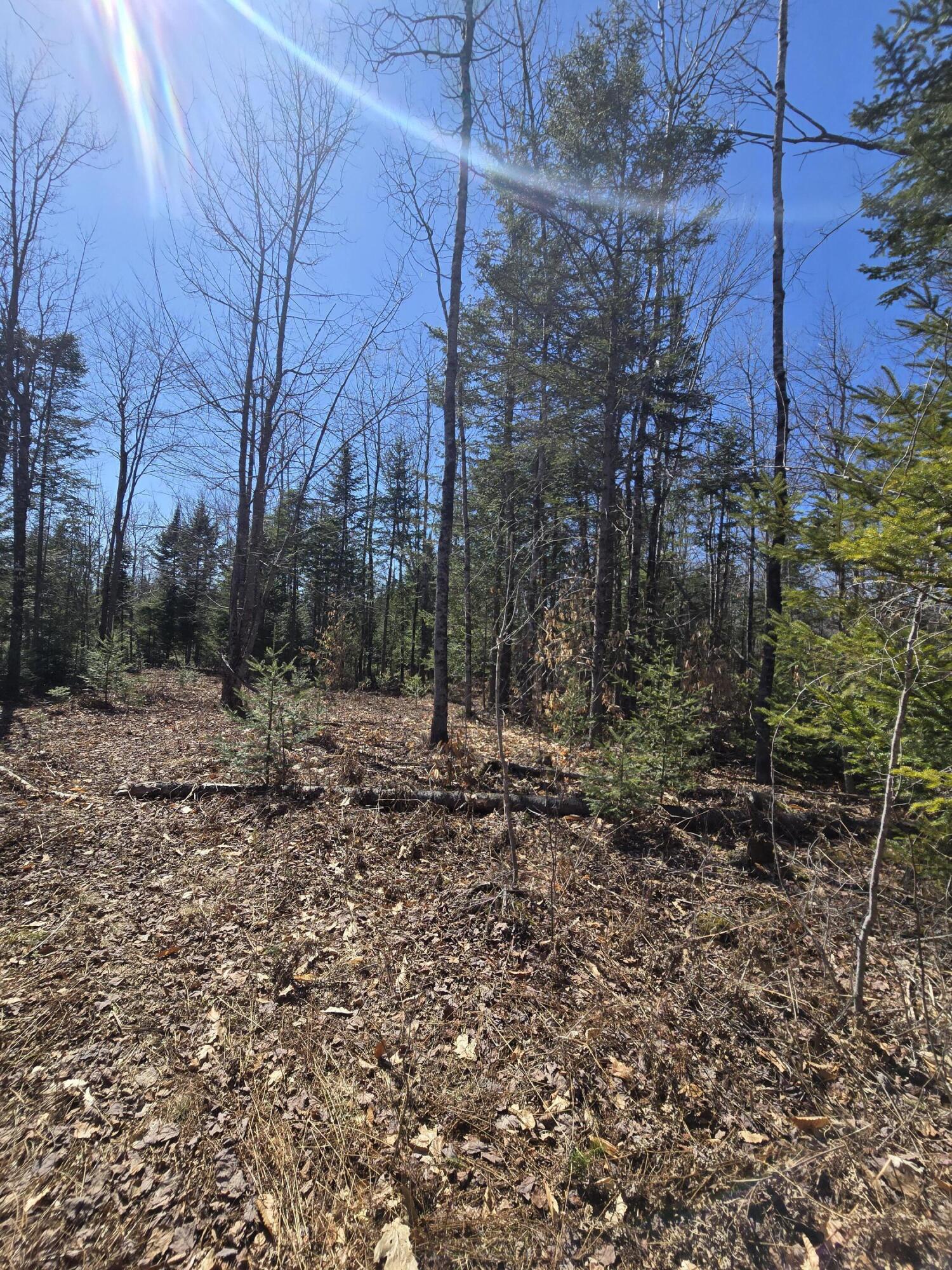 0 Chadbourne Road Harmony, ME 04942 - Photo 18 of 22 20260408_140738