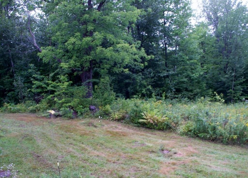 349 Ladd Road Mercer, ME 04957 - Photo 19 of 20 Photo