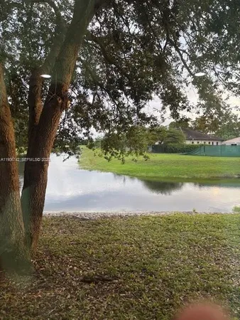 a view of a yard