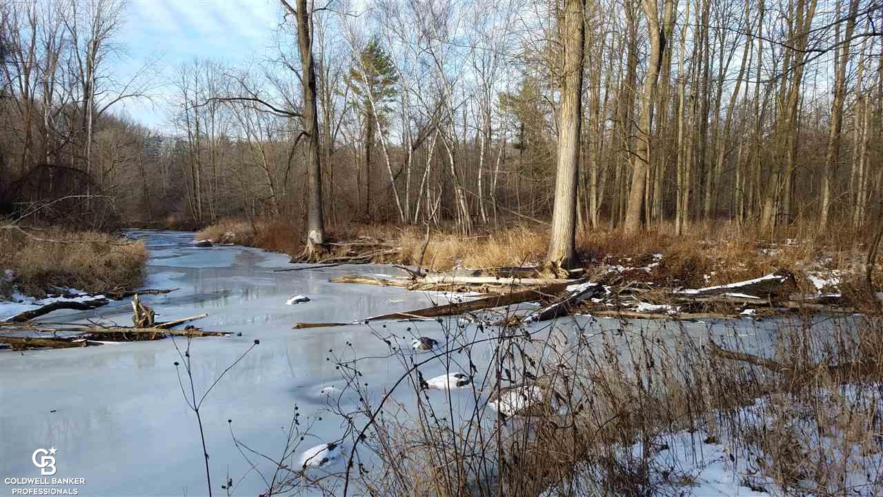 4691 Cribbins Road Avoca, MI 48006 - Photo 26 of 42 This is a view of the creek.