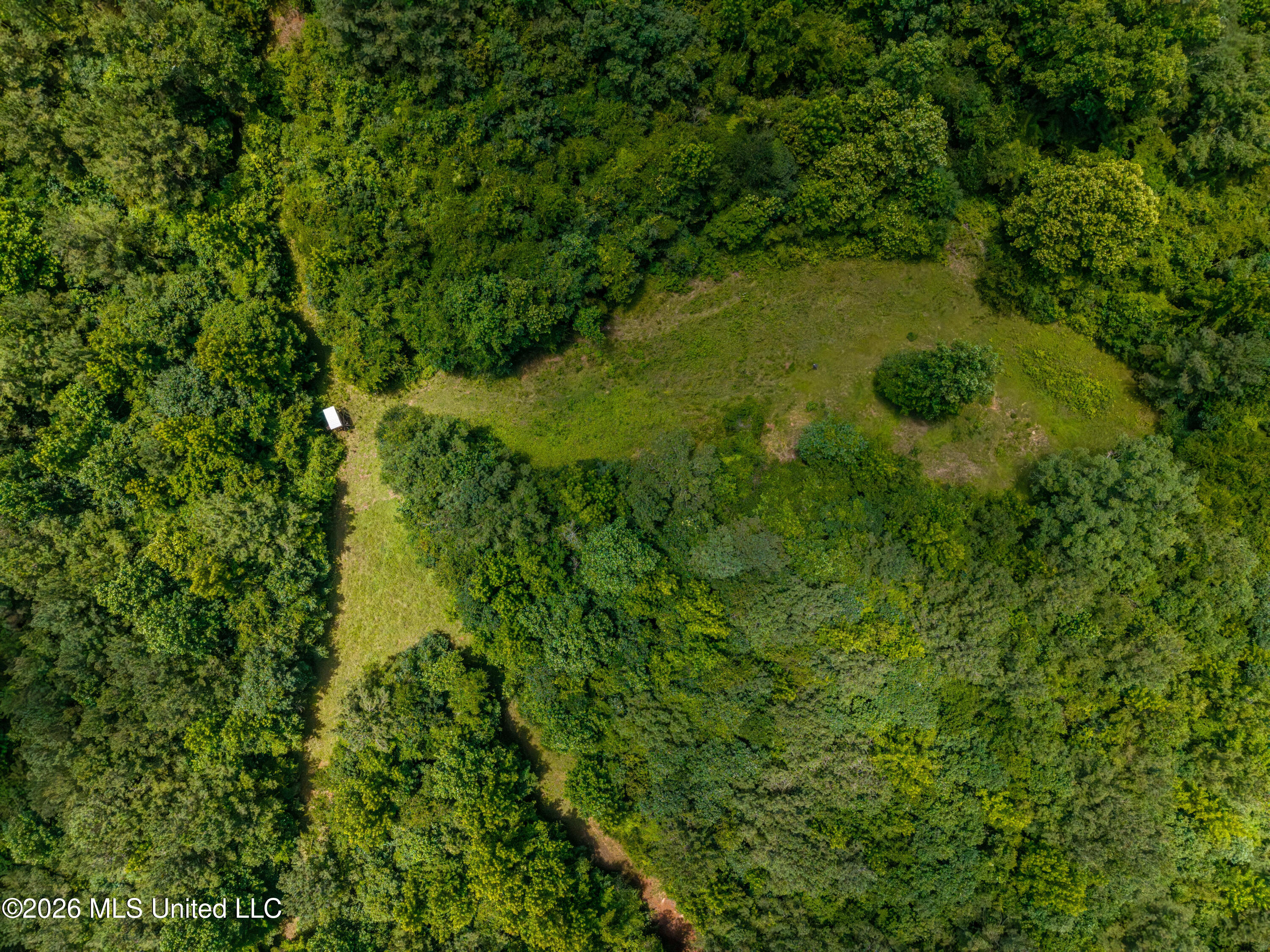 North Jones Lane Carthage, MS 39051 - Photo 1 of 5 DJI_20260626125713_0008_D