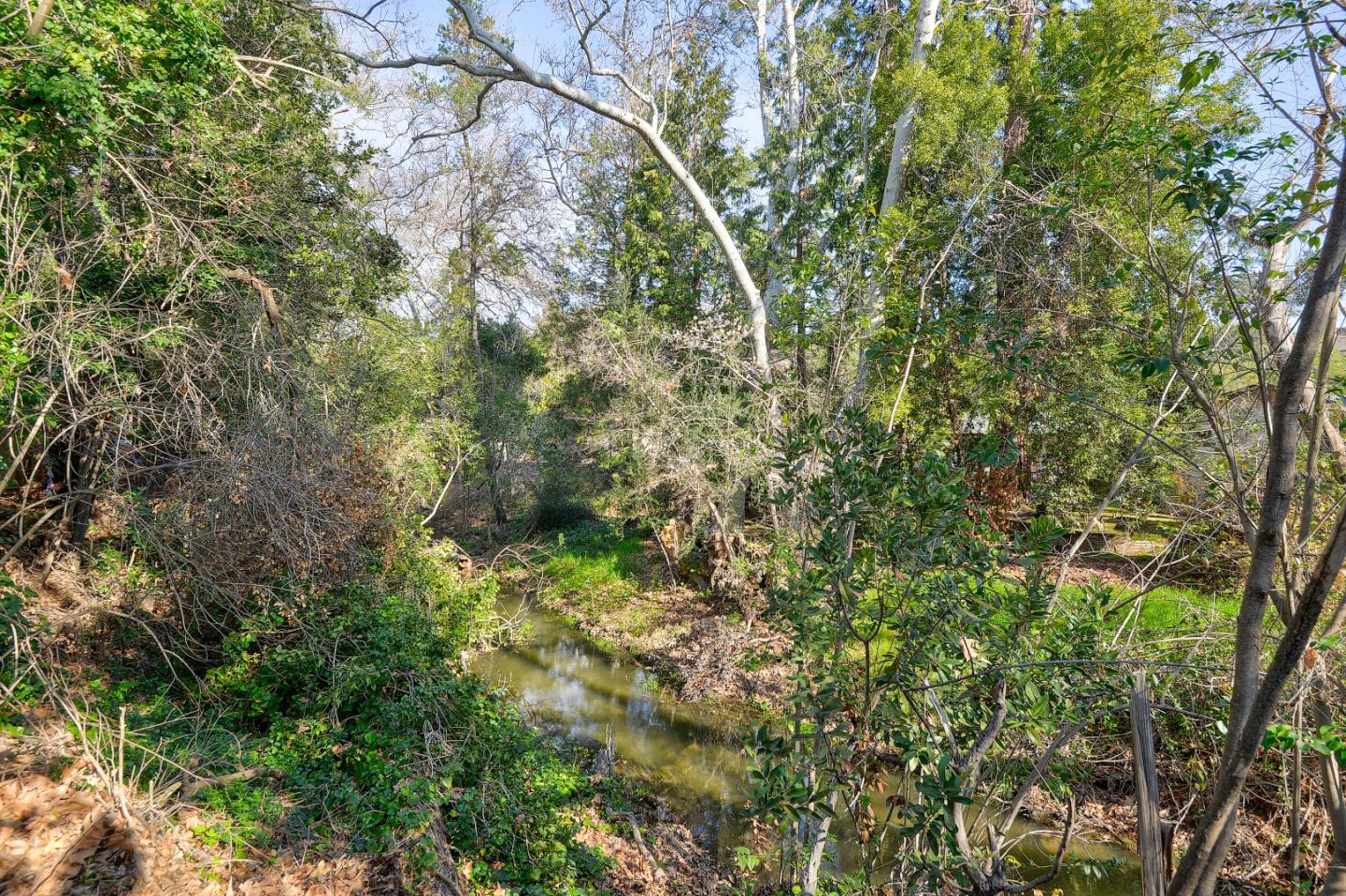 10510 Creston Drive Los Altos, CA 94024 - Photo 25 of 25 a view of a forest with lots of trees