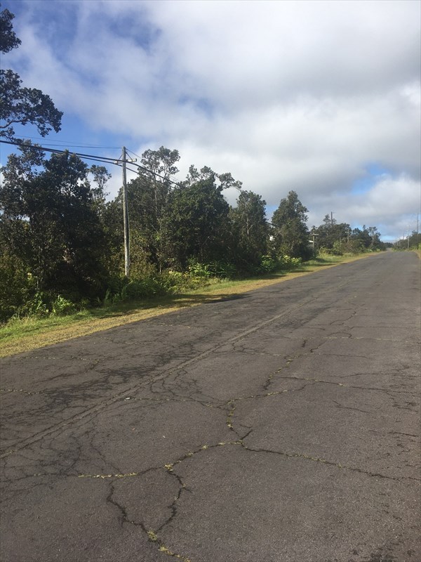 1479 Volcano Road Pahoa, HI 96778 - Photo 2 of 13 a view of a field with trees