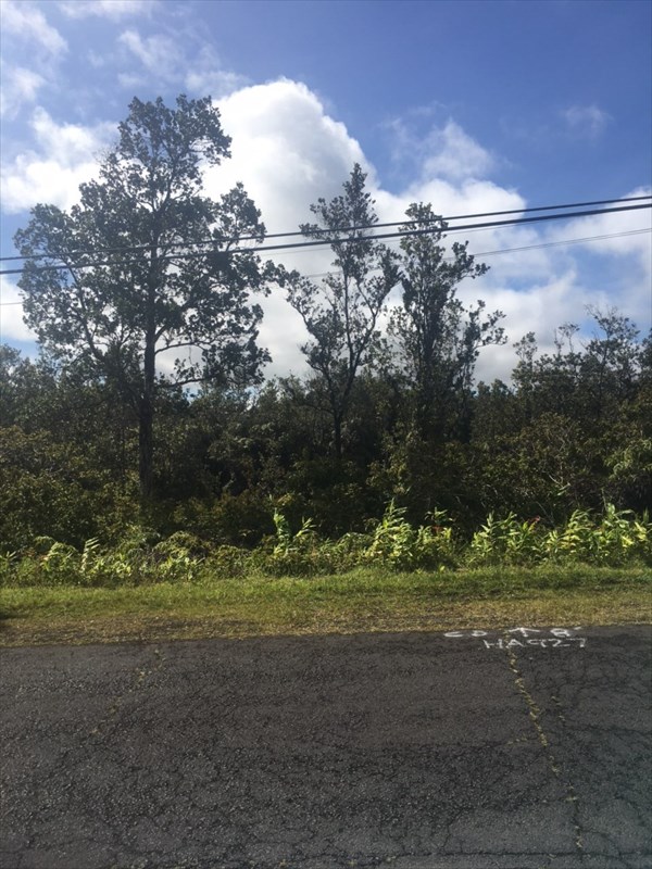 1479 Volcano Road Pahoa, HI 96778 - Photo 4 of 13 a view of a yard