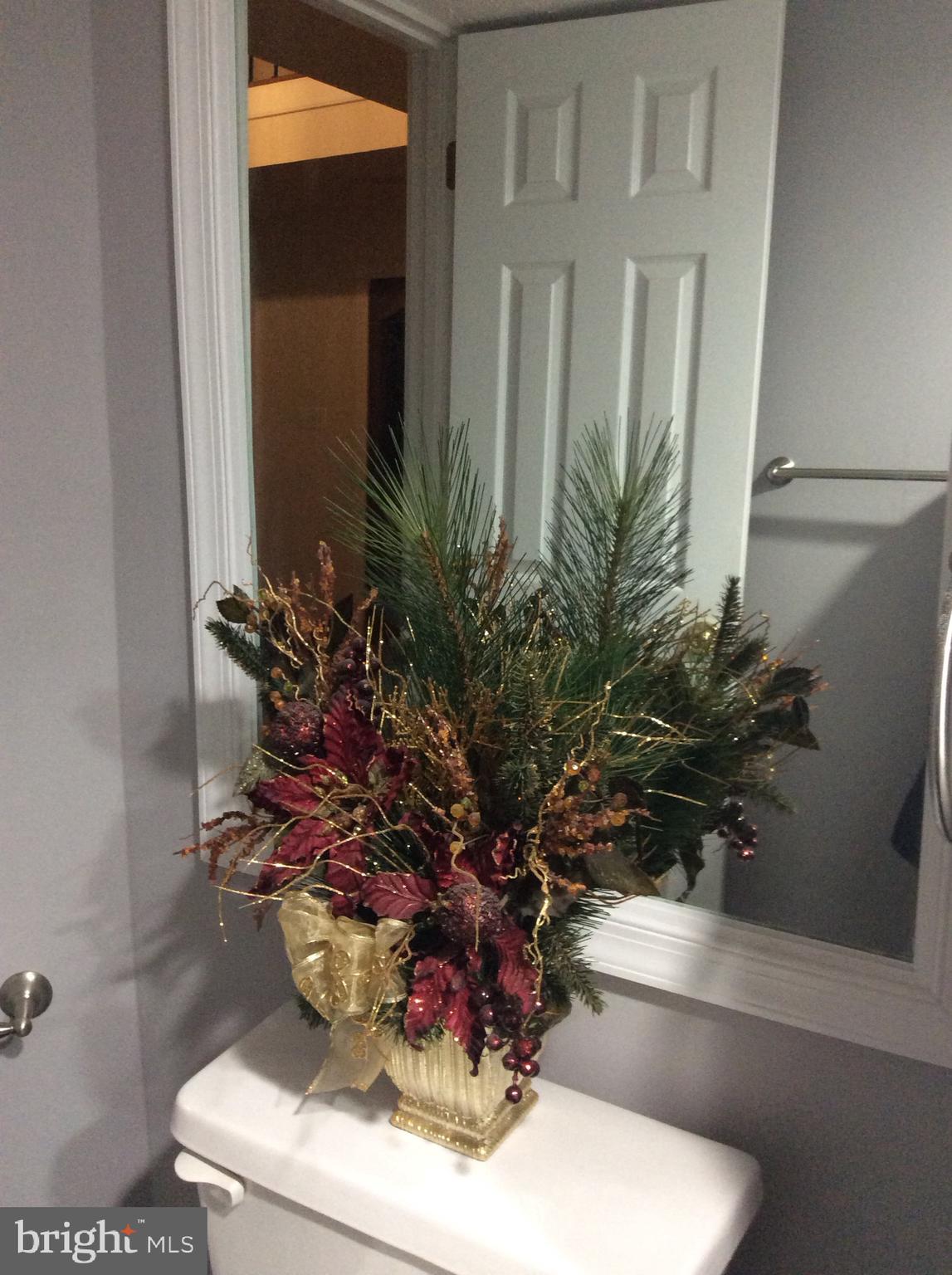 54 Rutherford Circle Sterling, VA 20165 - Photo 30 of 58 SECOND MIRROR IN POWDER ROOM