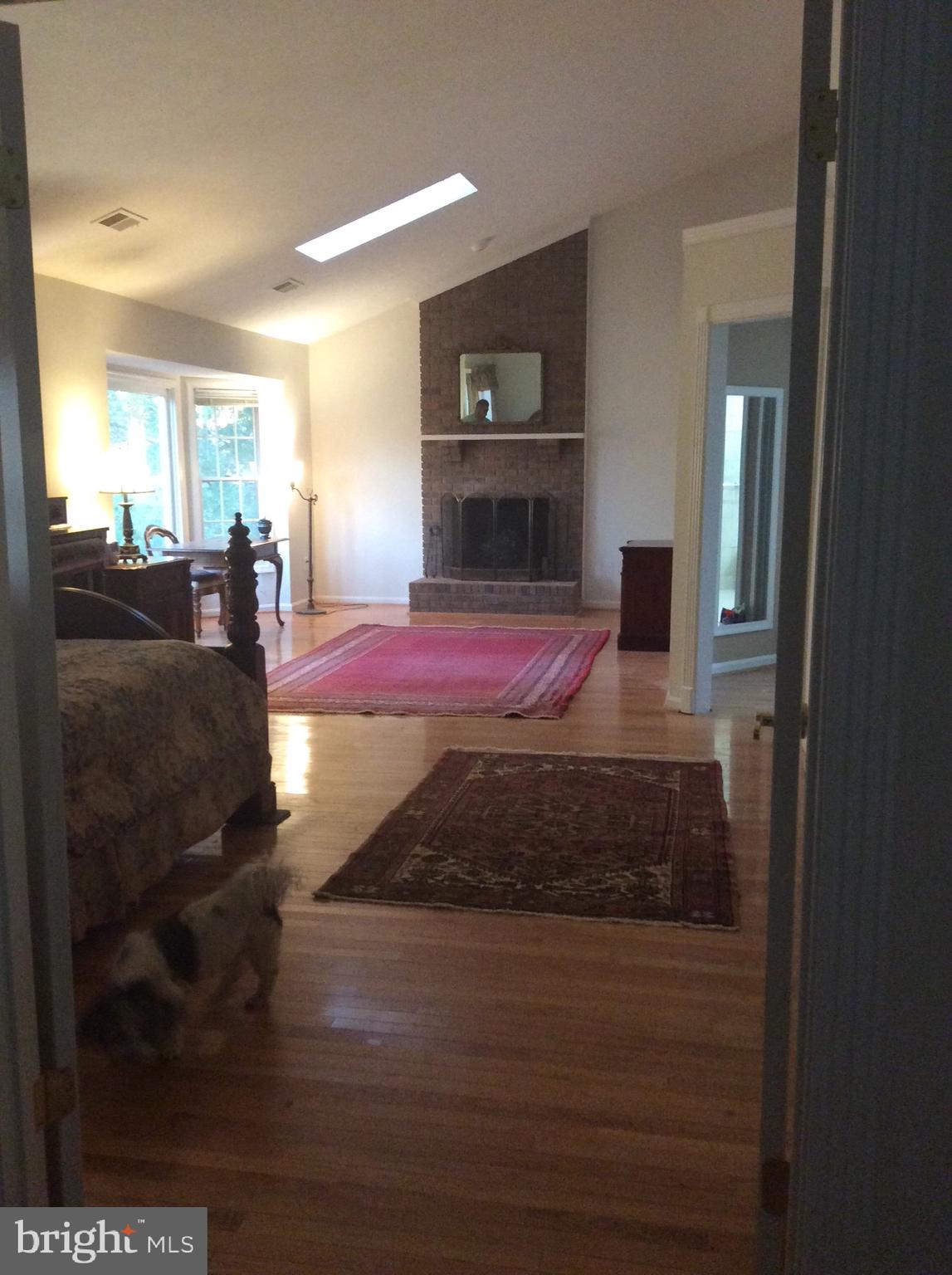 54 Rutherford Circle Sterling, VA 20165 - Photo 31 of 58 MBR VIEW W/SKYLIGHT AND FIREPLACE FROM ENTRANCE