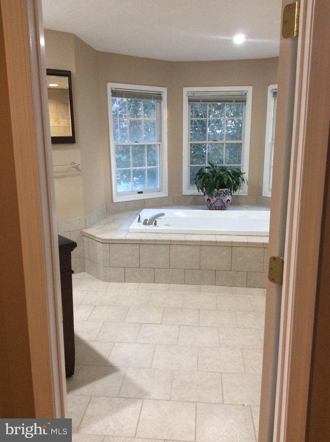 54 Rutherford Circle Sterling, VA 20165 - Photo 39 of 58 MASTER BATH NEW JACUZZI