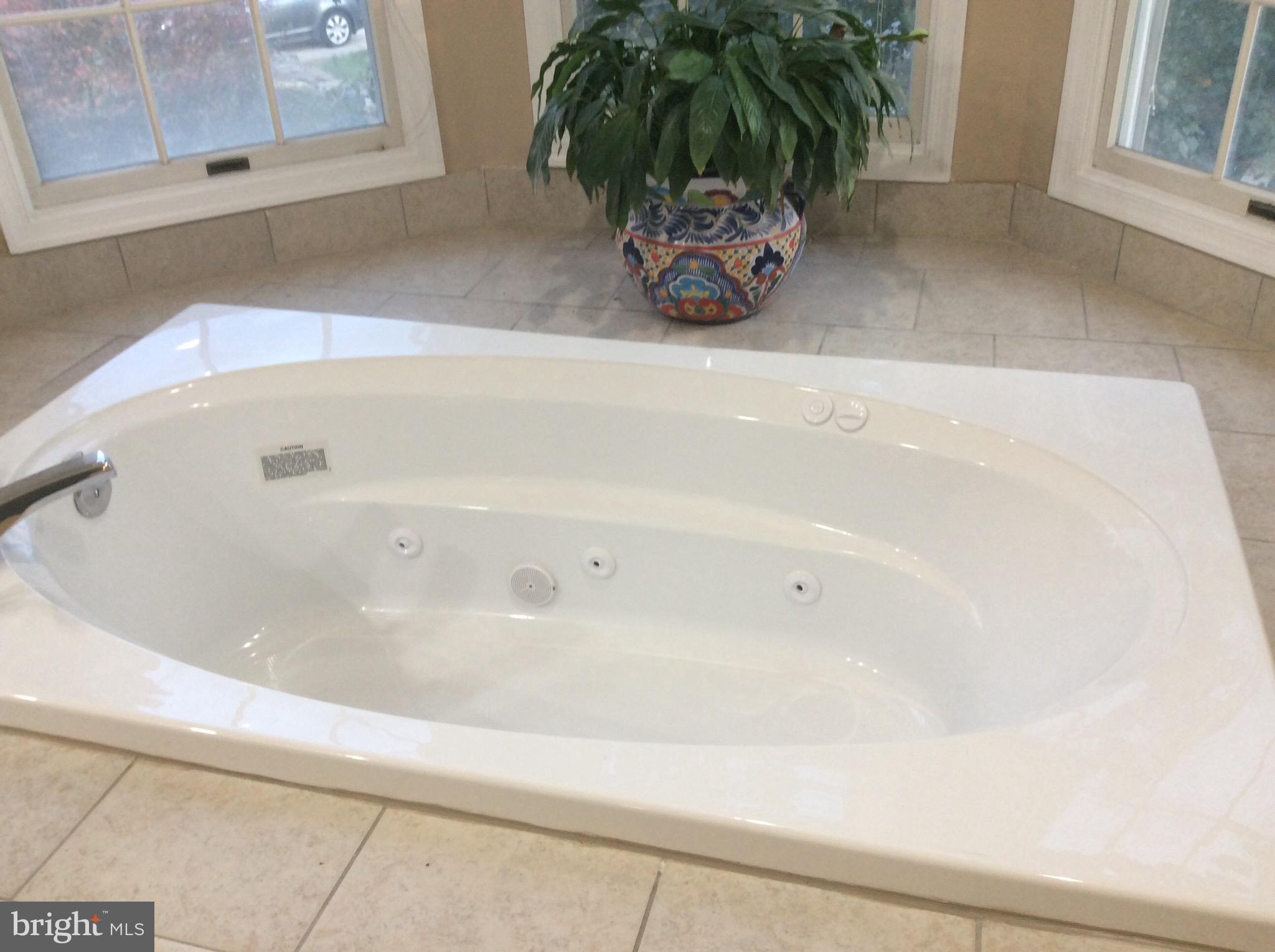 54 Rutherford Circle Sterling, VA 20165 - Photo 41 of 58 BRAND NEW JACUZZI NEVER USED