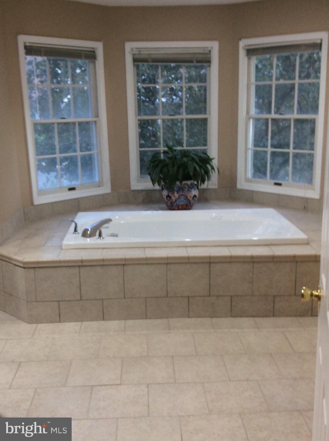 54 Rutherford Circle Sterling, VA 20165 - Photo 43 of 58 MASTER BATH