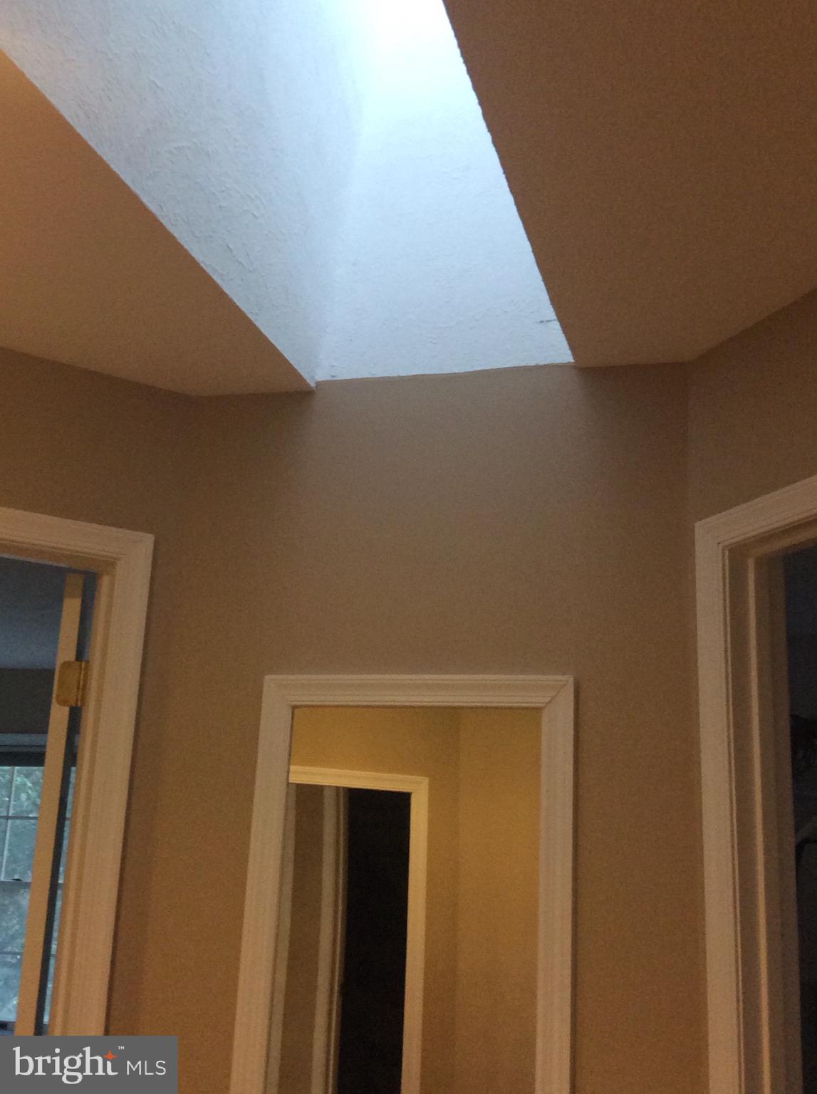 54 Rutherford Circle Sterling, VA 20165 - Photo 44 of 58 DRESSING AREA WITH SKYLIGHT & OPPOSING MIRRORS