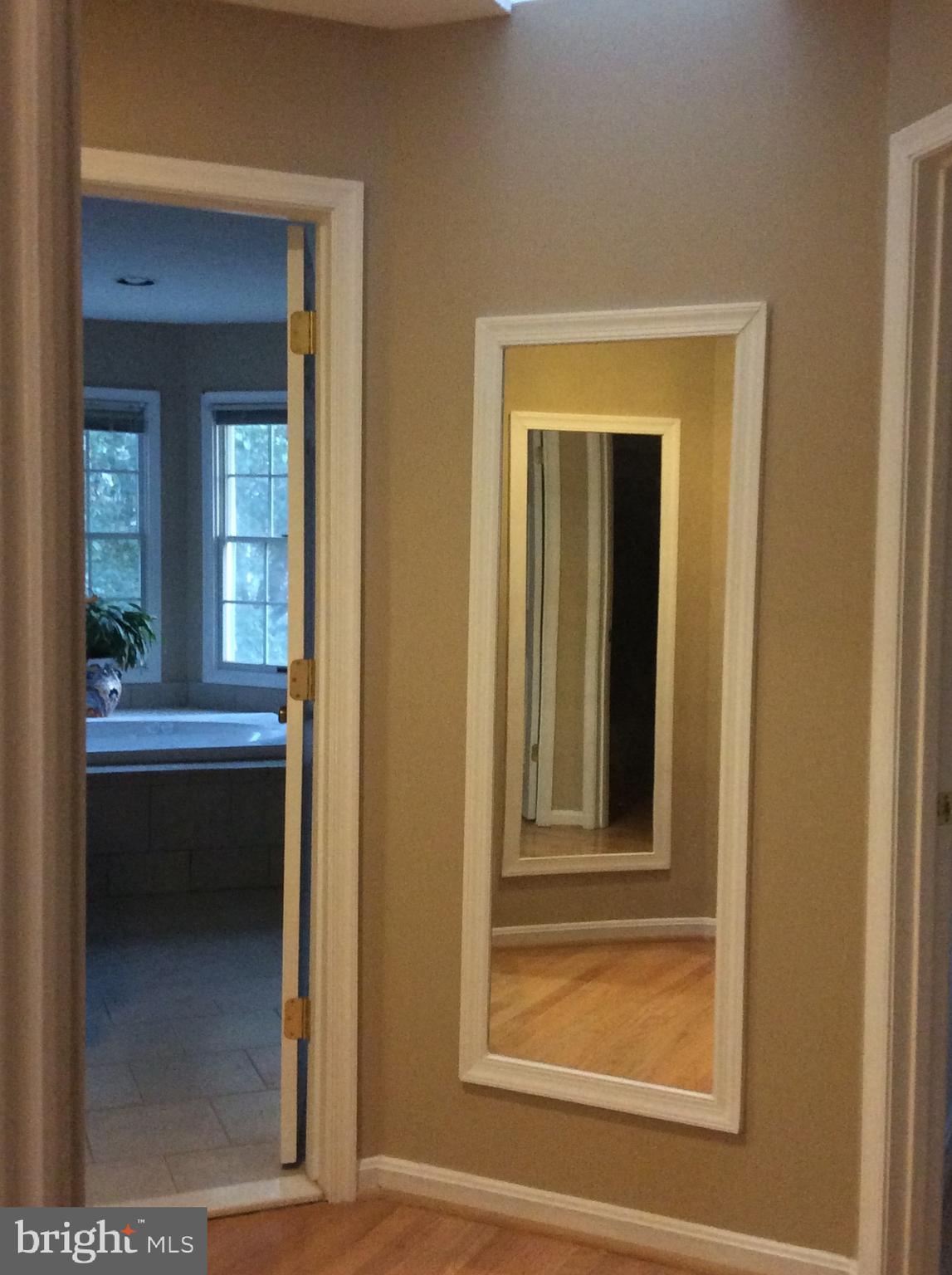 54 Rutherford Circle Sterling, VA 20165 - Photo 45 of 58 MIRRORED DRESSING AREA