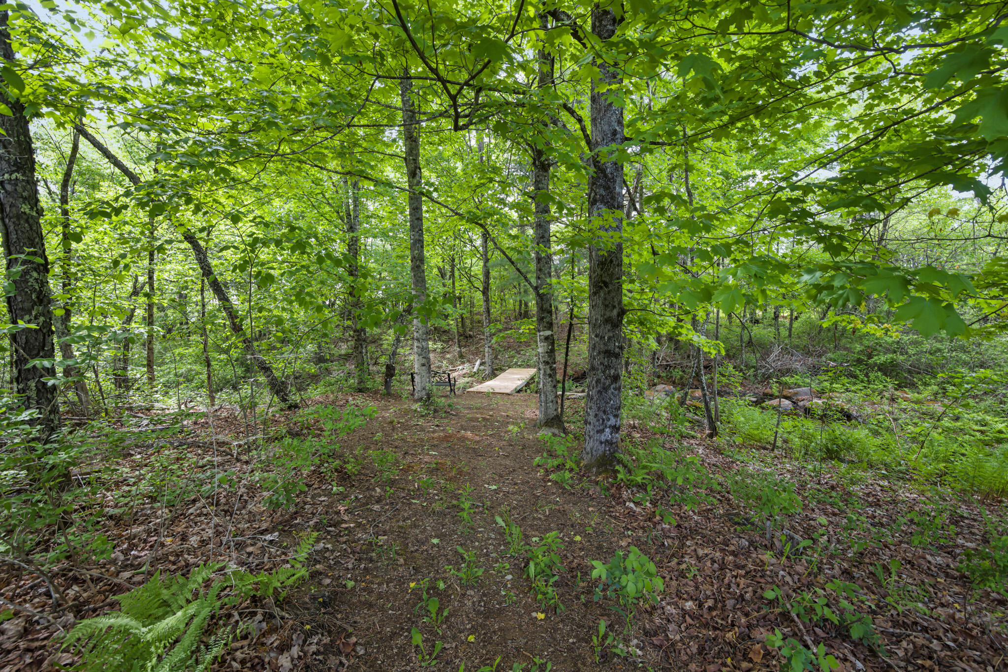 212 South Levant Road Levant, ME 04456 - Photo 62 of 67 DSC_6365