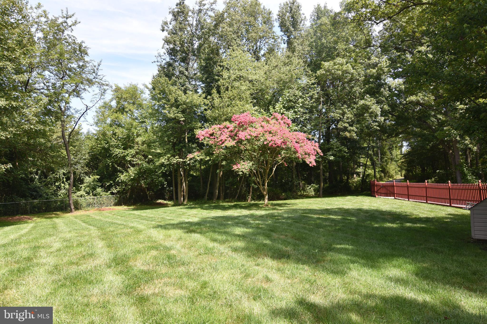97 Democrat Road Mickleton, NJ 08056 - Photo 6 of 38