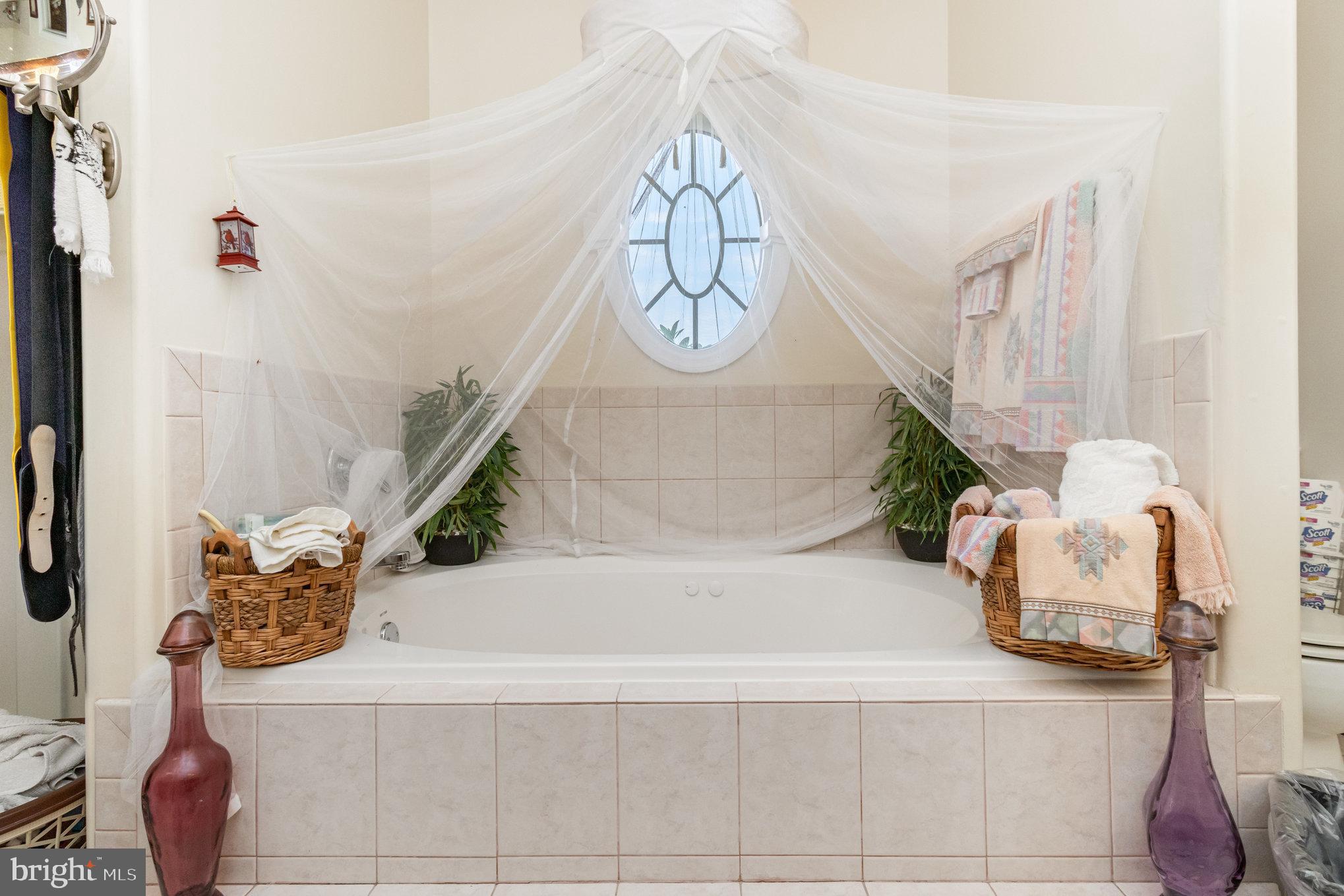 13467 Ellis Way King George, VA 22485 - Photo 27 of 81 a bathroom with a bathtub and a mirror
