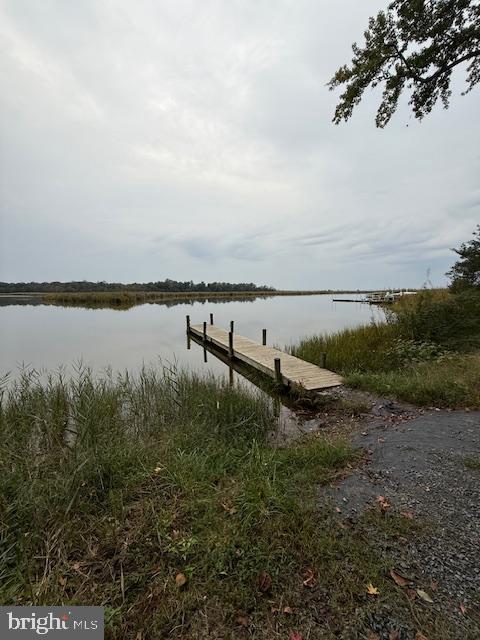 13467 Ellis Way King George, VA 22485 - Photo 56 of 81 a view of a lake with houses in back
