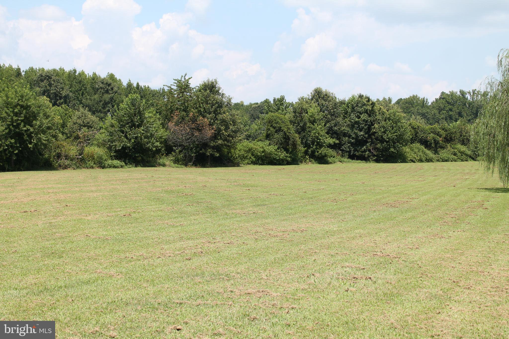 13467 Ellis Way King George, VA 22485 - Photo 61 of 81 a view of yard with swimming pool and trees in the background
