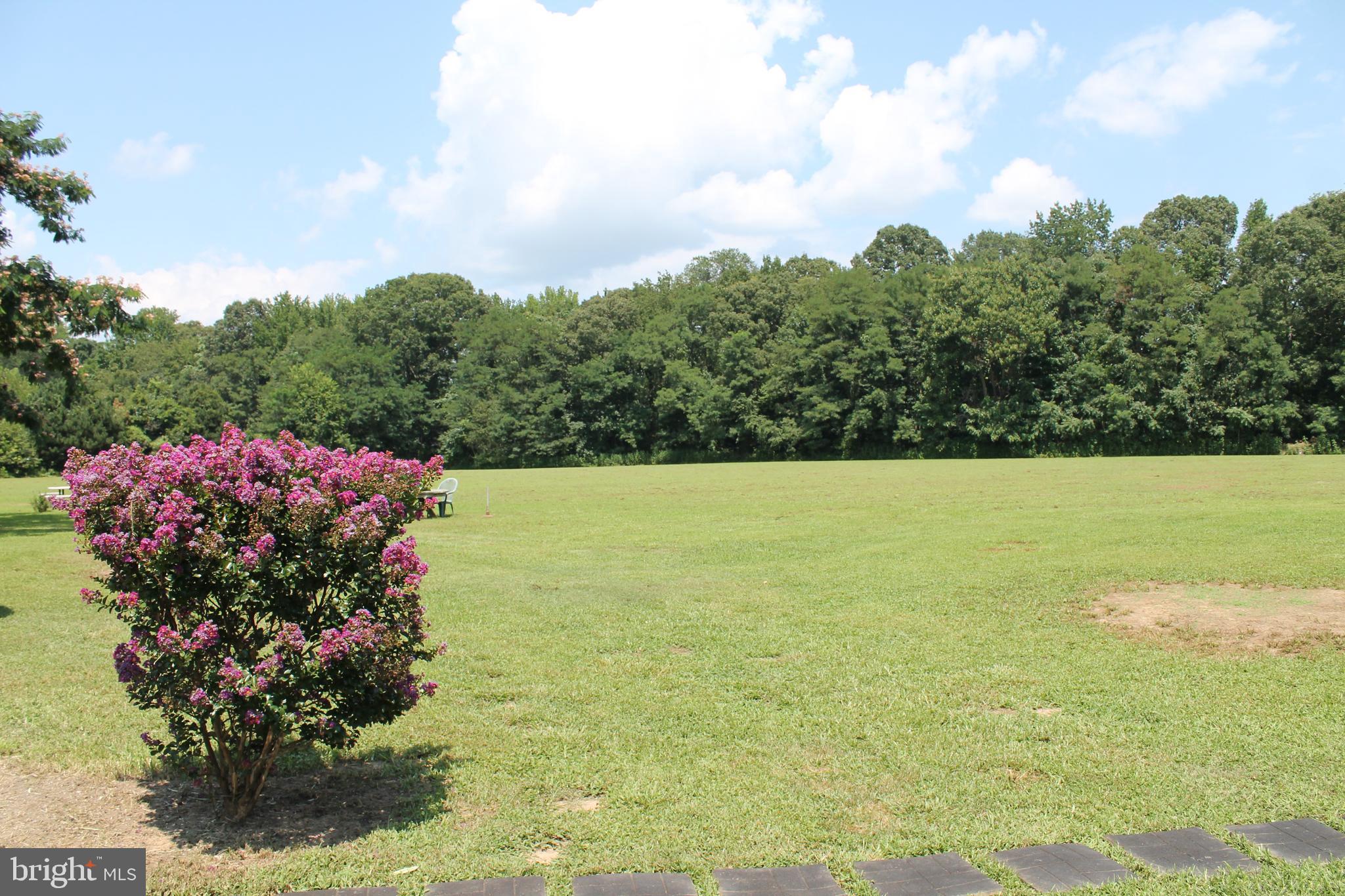 13467 Ellis Way King George, VA 22485 - Photo 68 of 81 Front yard