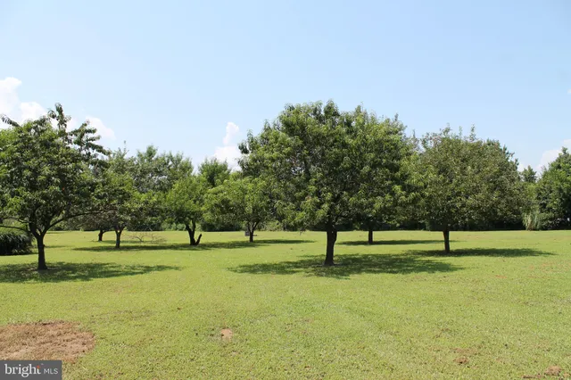 $885,000 | 13467 Ellis Way, King George, VA 22485