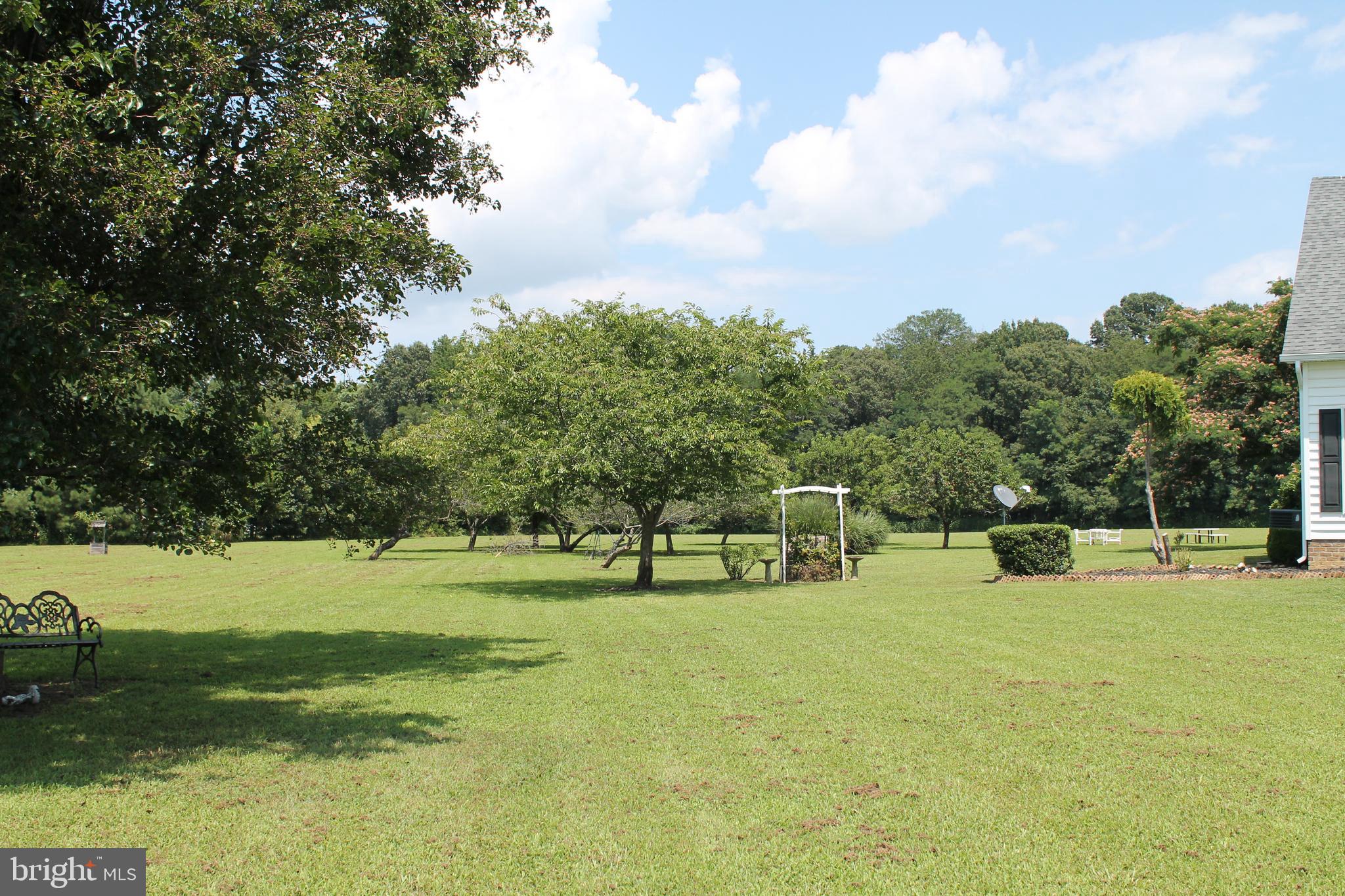 13467 Ellis Way King George, VA 22485 - Photo 70 of 81 Fruit trees on the left side yard