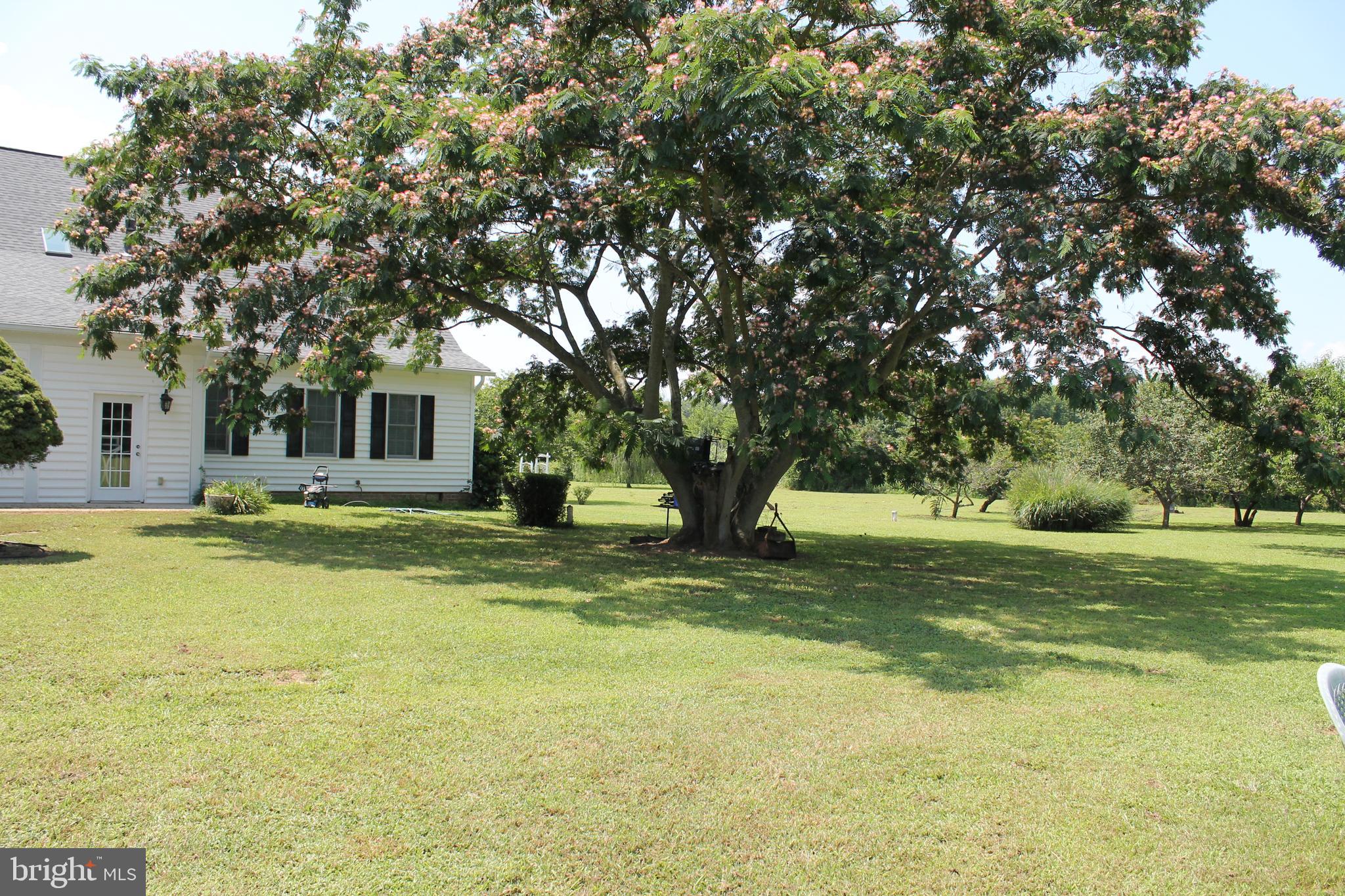 13467 Ellis Way King George, VA 22485 - Photo 73 of 81 Shade tree in the rear of the house