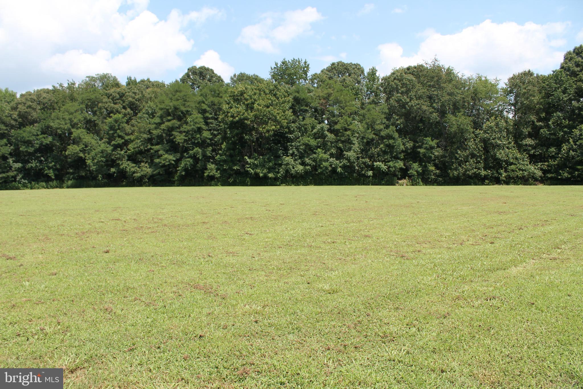 13467 Ellis Way King George, VA 22485 - Photo 76 of 81 Backyard