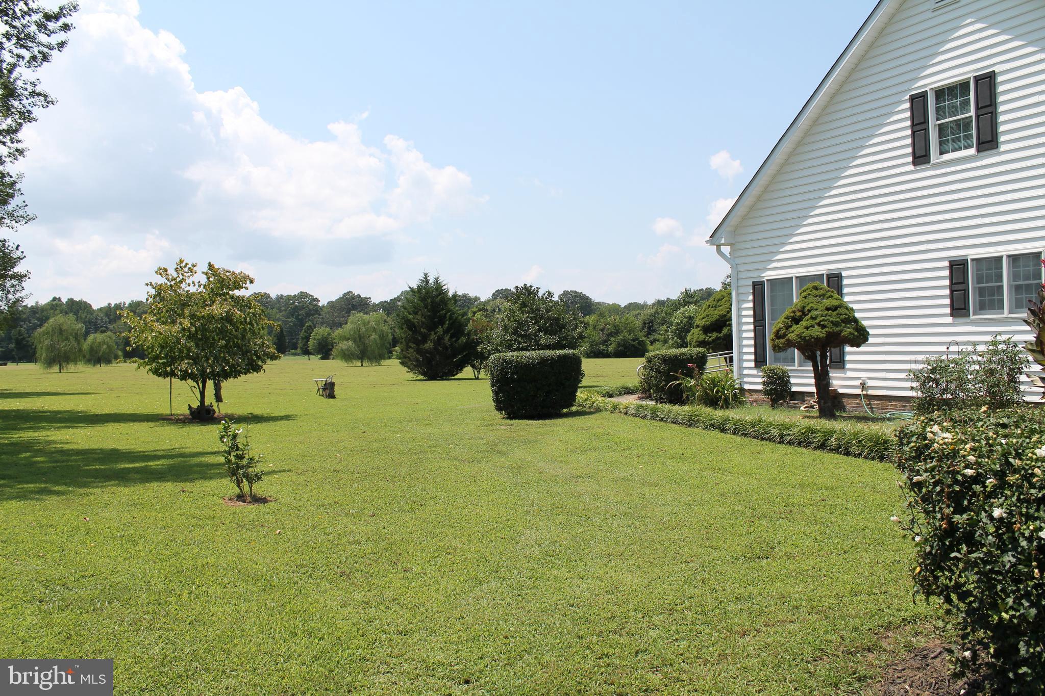 13467 Ellis Way King George, VA 22485 - Photo 78 of 81 Driveway/right side of home