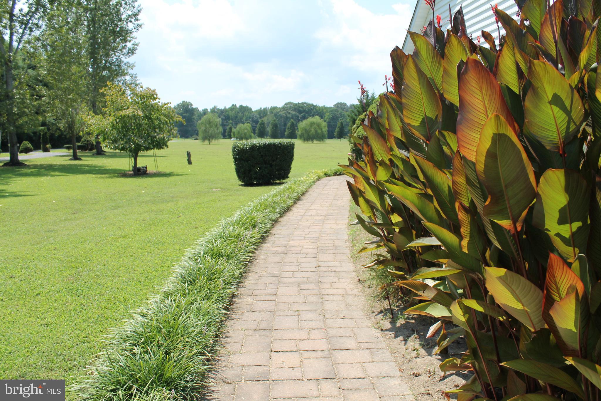 13467 Ellis Way King George, VA 22485 - Photo 79 of 81 Walkway from Driveway to front