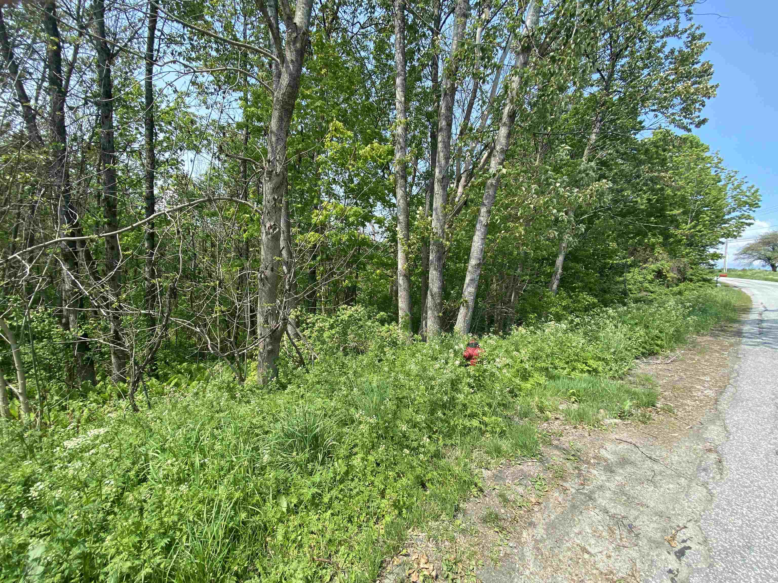 0 Wallace Hill Road Randolph, VT 05060 - Photo 2 of 10