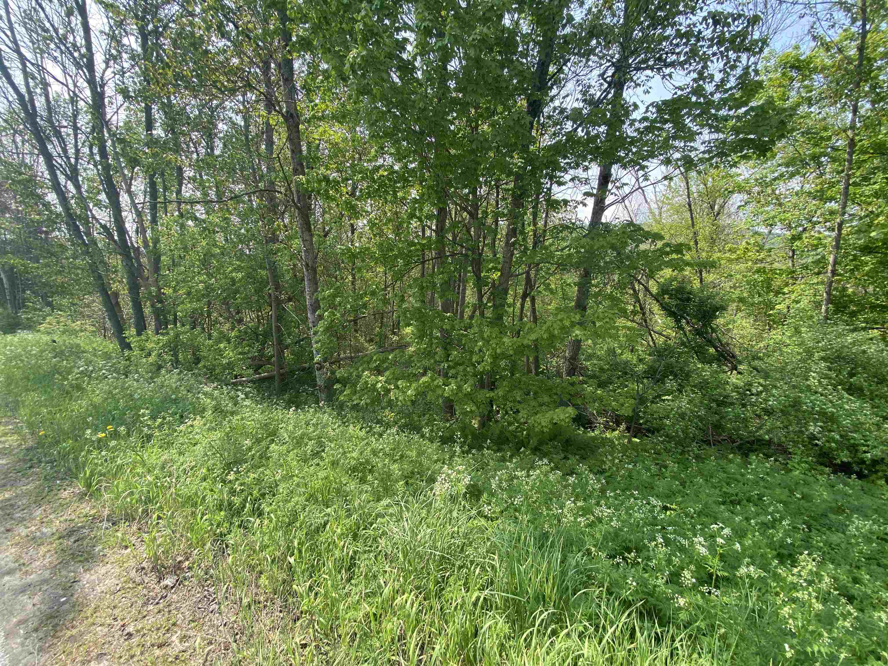 0 Wallace Hill Road Randolph, VT 05060 - Photo 5 of 10