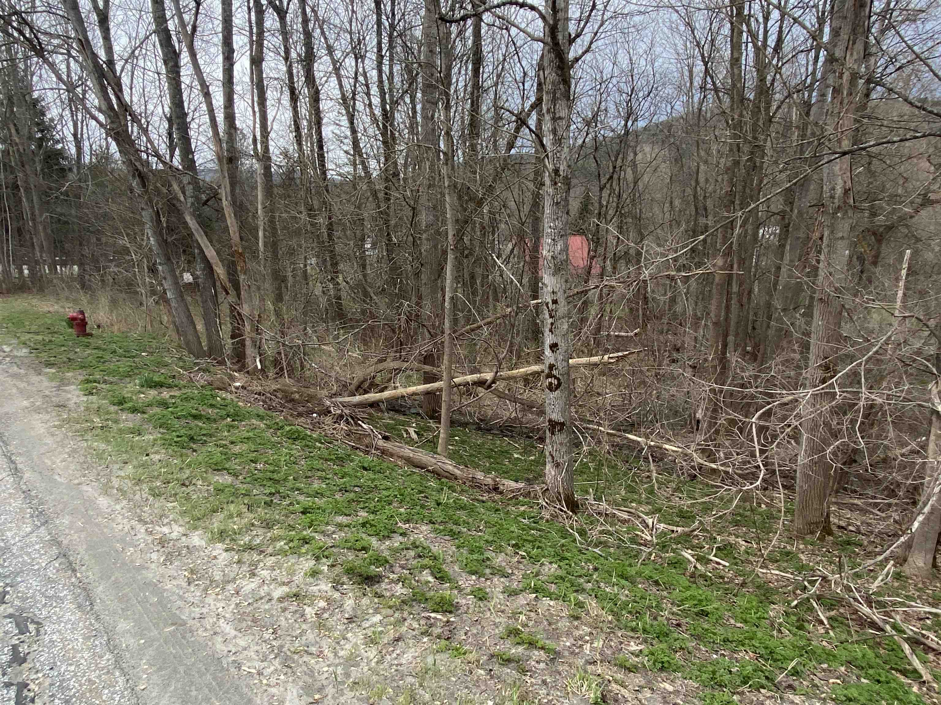 0 Wallace Hill Road Randolph, VT 05060 - Photo 10 of 10