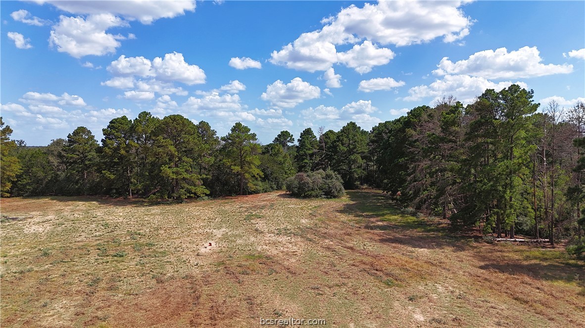 8 & 13) Road Paige, TX 78659 - Photo 13 of 22 Gallery Image 13