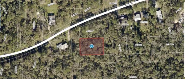 $15,000 | River Road, Astor, FL 32102