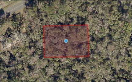 River Road Astor, FL 32102 - Photo 3 of 4