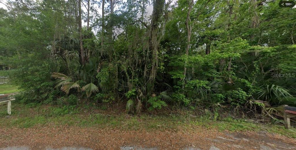 River Road Astor, FL 32102 - Photo 4 of 4