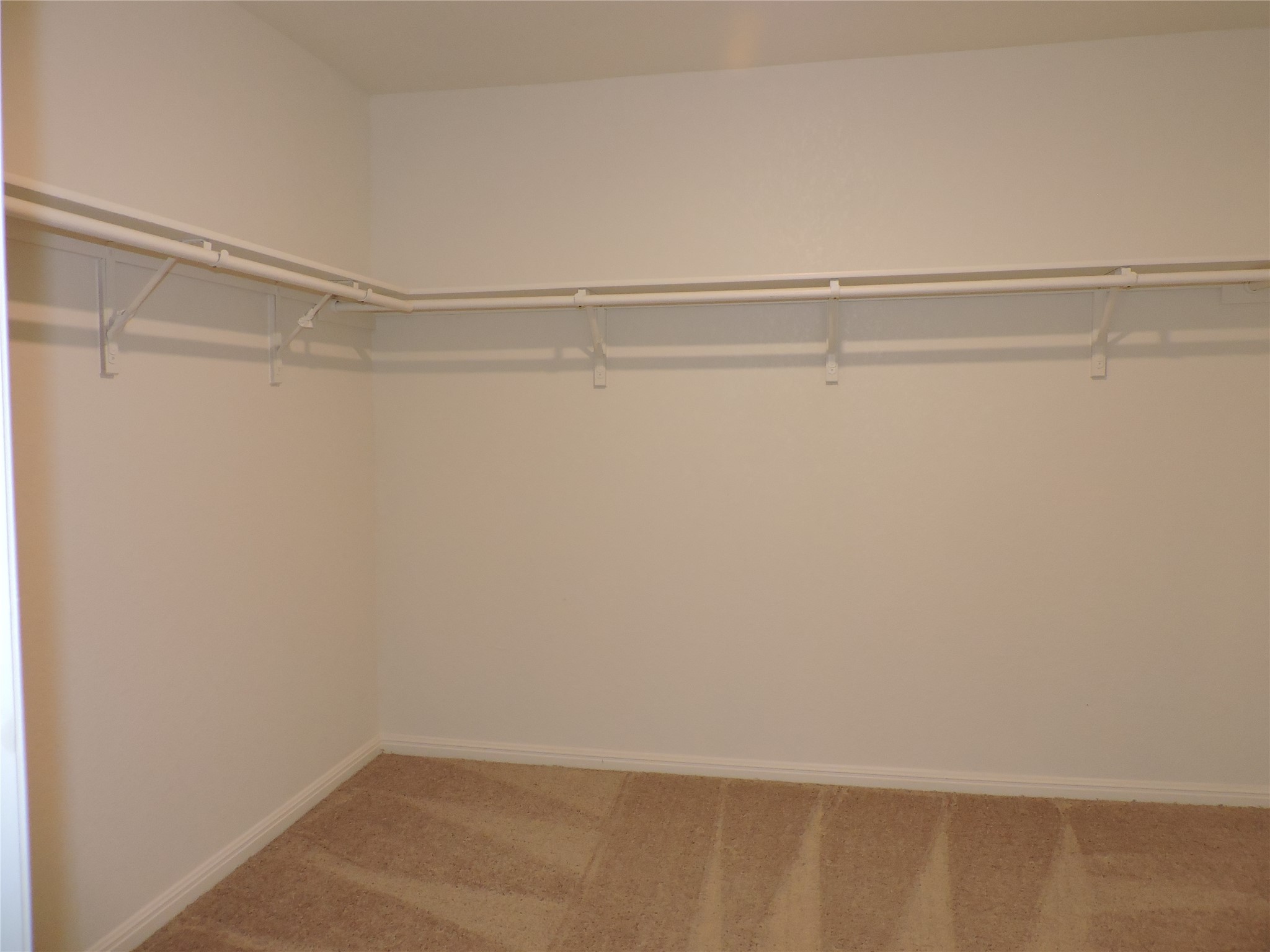 14120 Jeannette Rankin Rd Manor Manor, TX 78653 - Photo 15 of 25 Walk in closet with carpet