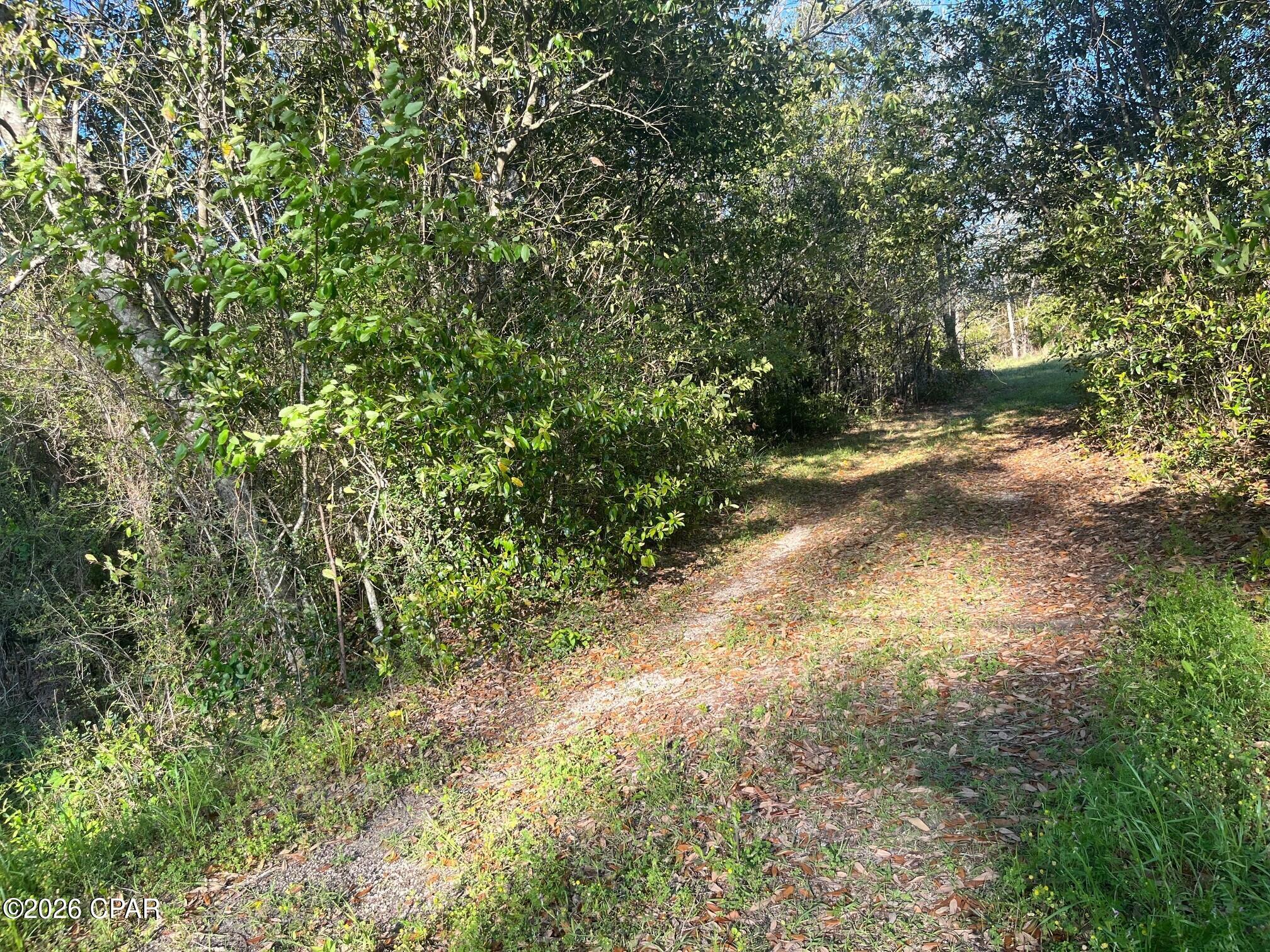 0 Main Street Grand Ridge, FL 32442 - Photo 2 of 5