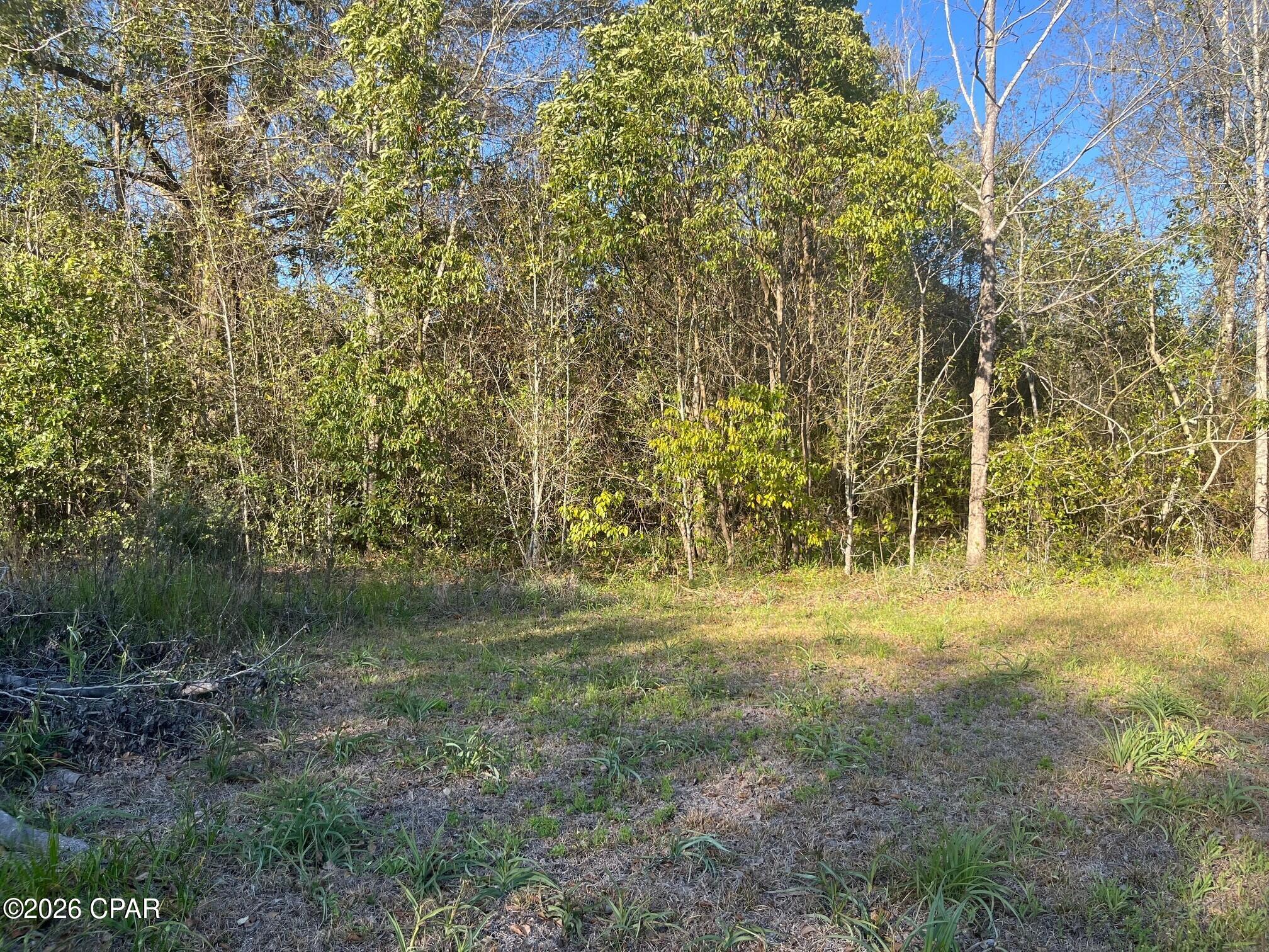 0 Main Street Grand Ridge, FL 32442 - Photo 3 of 5