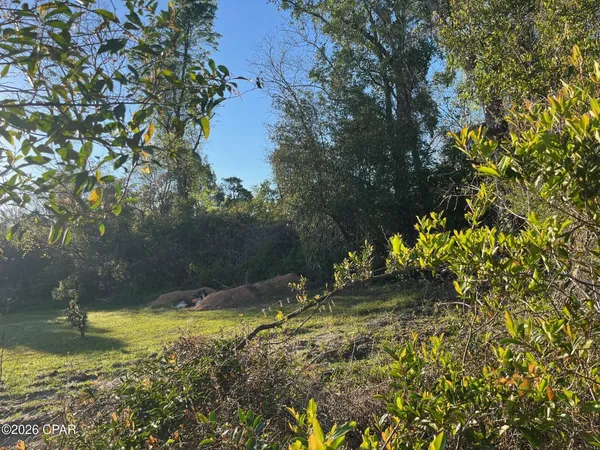 $45,000 | 0 Main Street, Grand Ridge, FL 32442