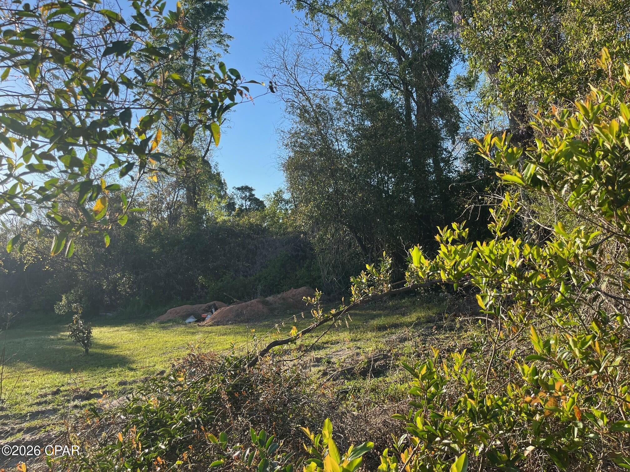 0 Main Street Grand Ridge, FL 32442 - Photo 5 of 5