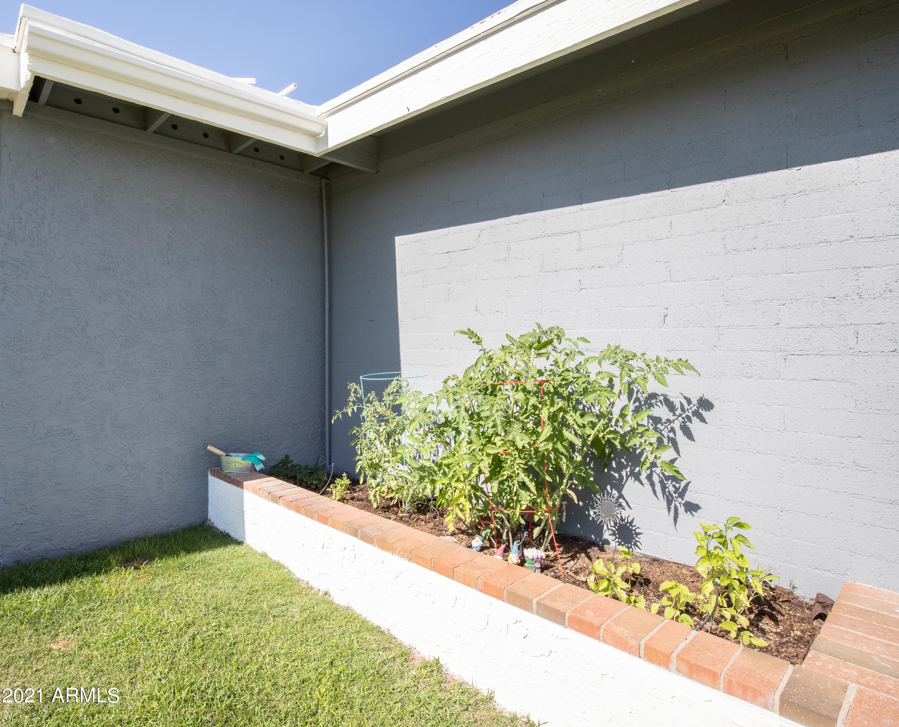 5429 East Bloomfield Road Scottsdale, AZ 85254 - Photo 36 of 45 Vegetable Garden