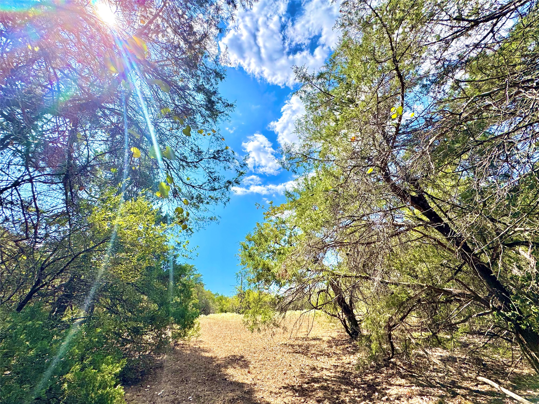Tbd 50.62-acres Tbd 50.62-acres Rabel Road Rosanky, TX 78953 - Photo 2 of 23 Magnificent views of wooded area
